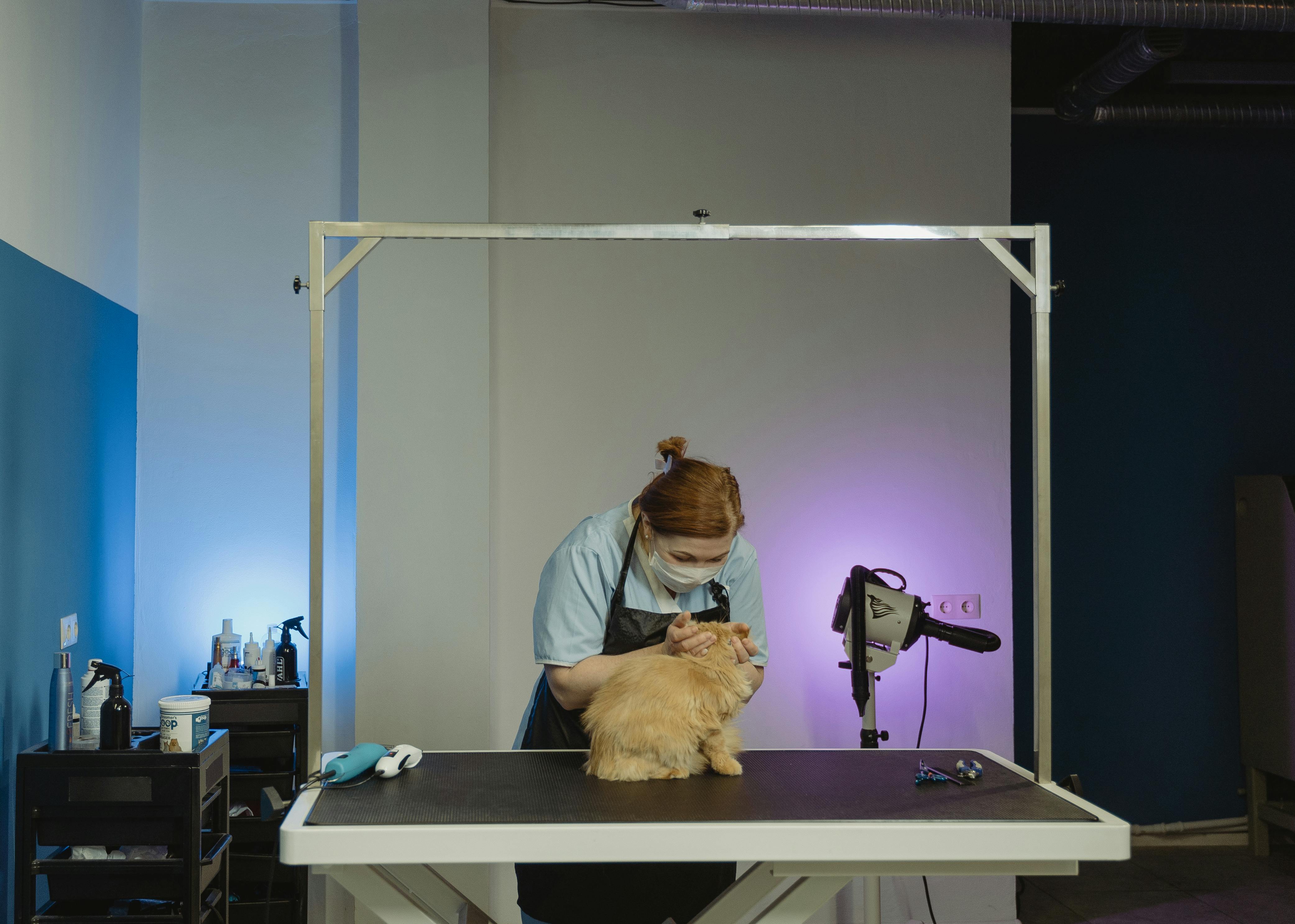 Woman grooming a cat.
